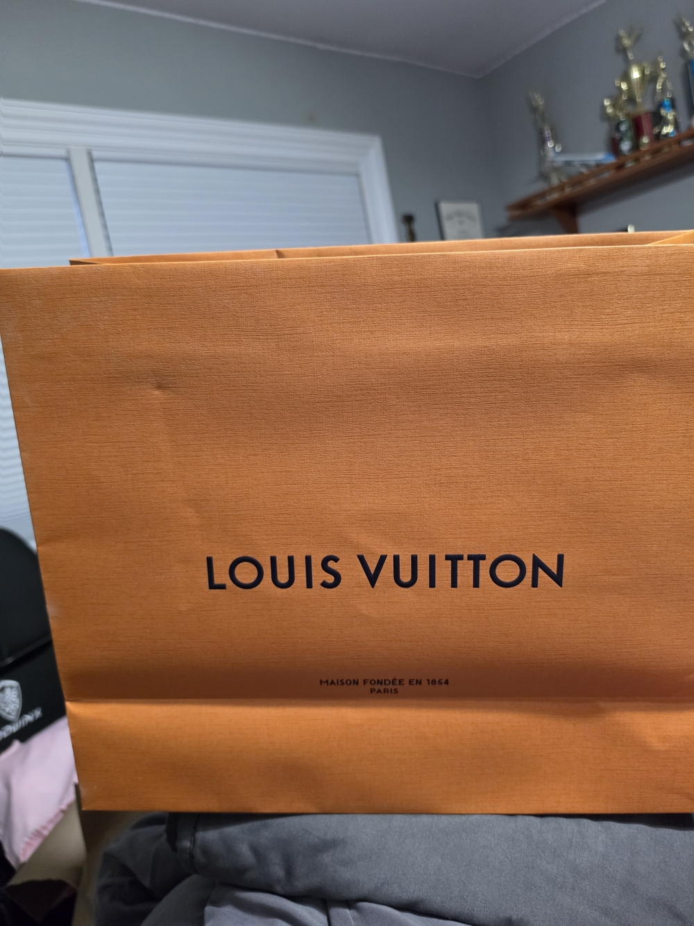Authentic Louis Vuitton Shopping/Gift Bag – Large🧡 - Picture 3 of 3